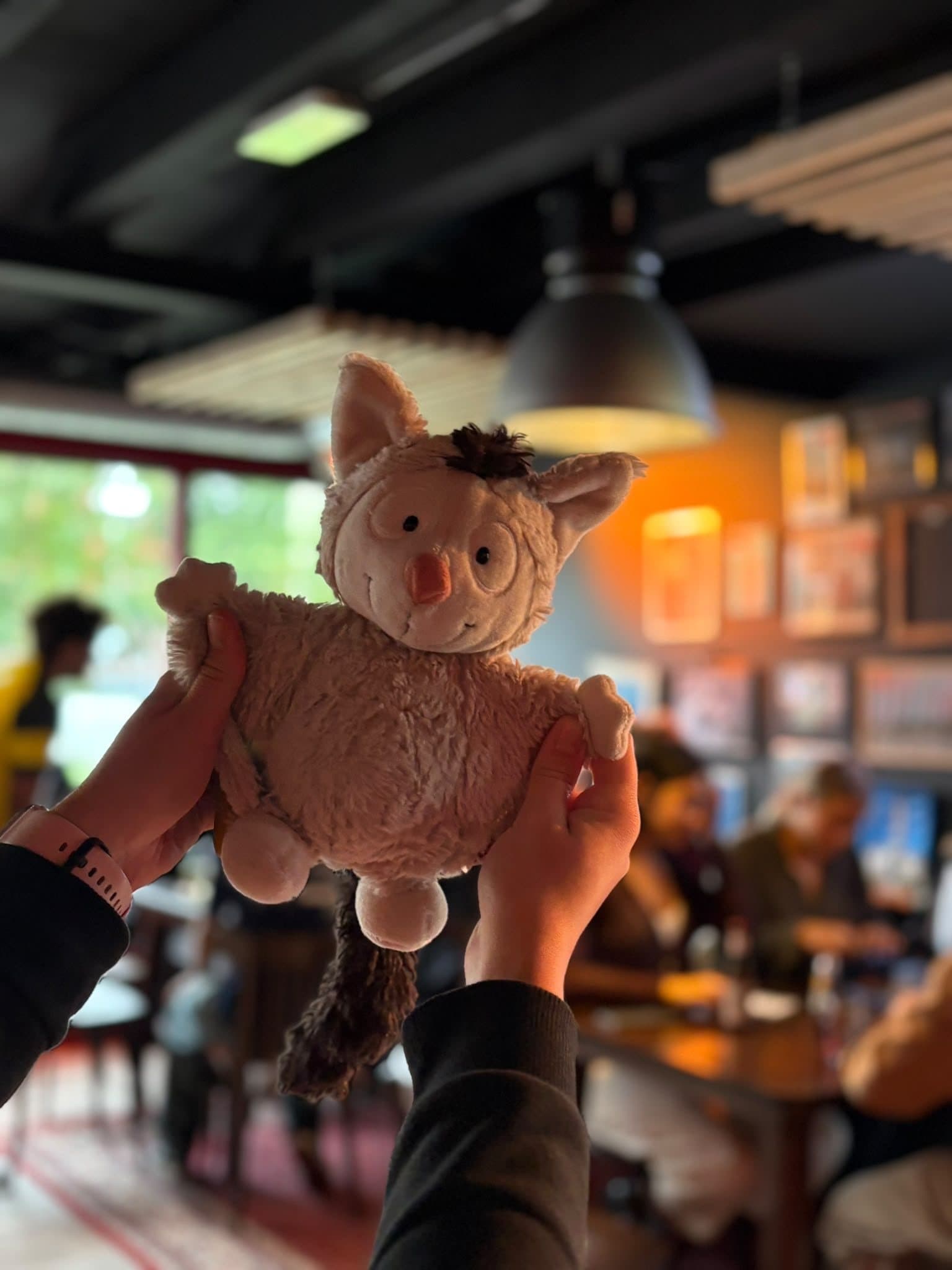 The ESN Breda mascot held up during an event