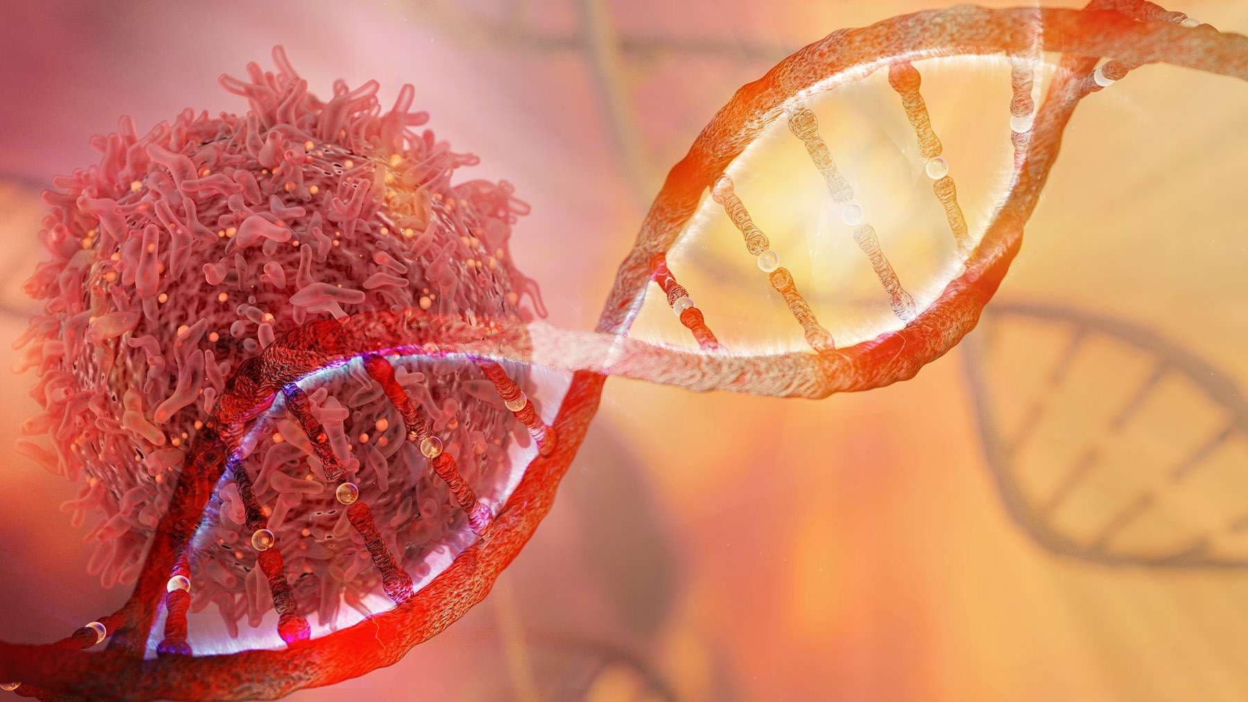 Cancer cell and DNA strand