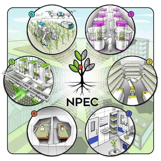 Plant root phenotyping image